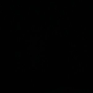 Meet your Posher, Rebekah